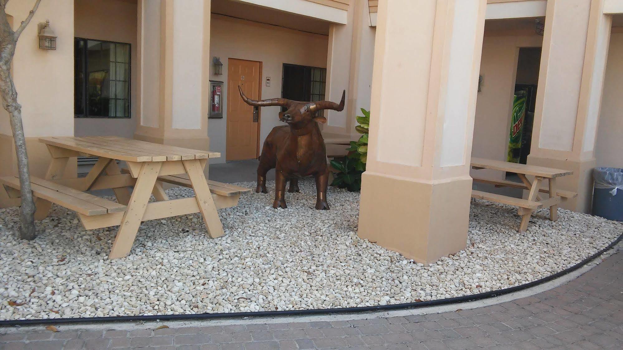 Casa Rosa Inn Port Isabel Dış mekan fotoğraf